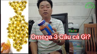 Câu Cá Omega 3 Trộn Mồi Câu Cá Gì ? ....