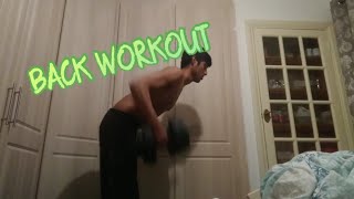 Training Challenge Day 432 | Dumbell Workout #1 - Back workout