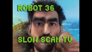 0048 Toonify SSTV Robot36