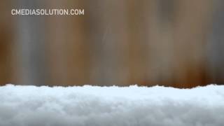 Snow Fence Macro Right