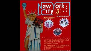 NEW YORK CITY DISCOTHEQUE 3