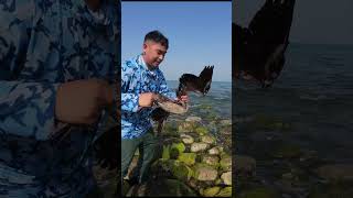 releasing duck back #fishing #anglingadventures #mychannel #anglerslife