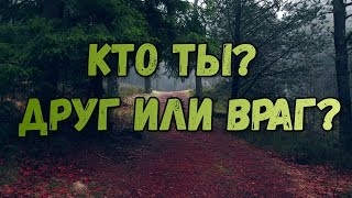 Кто ты?! Друг или враг? Характеристика личности человека на Таро