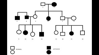 Práticas Sistêmicas: A árvore da vida