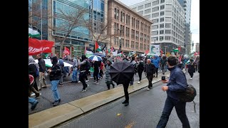 Veterans day Pro Palestinian/anti Israel protest in Seattle