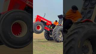 famous tochan King 👑#nishu #viralshort #2024shorts #tactorstunt #farming #tractorstunt