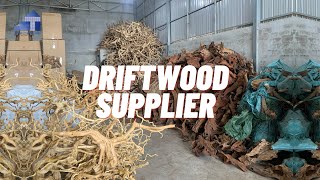 Driftwood Extravaganza: A Mass Unboxing Experience Like No Other! - Driftwood Supplier.