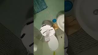 skibidi toilet