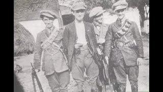 Lecture 118: Tipperary Volunteers Commemoration: Keep their Names Ever Green