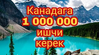 Канадага кантип иштегени барса болот?