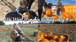 WE WENT PUMPKIN PICKING | PUMPKIN PATCH VLOG #24