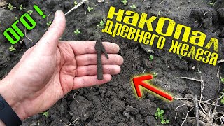 ВОТ ЭТО НАКОПАЛ ДРЕВНЕГО ЖЕЛЕЗА! КОП со СНАЙПЕРКОЙ для Rutus Alter 71  (Рутус Альтер 71)