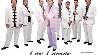 LOS LAMAS - SIEMPRE SOÑANDO CONTIGO