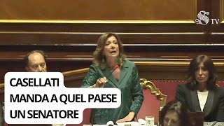 Casellati manda a quel paese Borghi. Il senatore: "Si vergogni". E lei replica