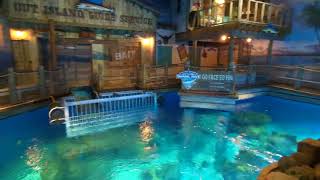 Shark Dive Exhibit at The Wonders of Wildlife Museum and Aquarium