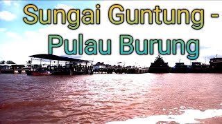 Sungai Guntung - Pulau Burung #tanahmerah #kualaenok #indragirihilir #tembilahan #riau