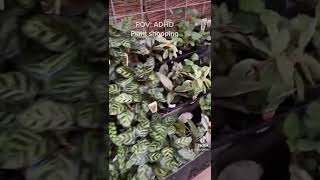 ADHD plant shopping