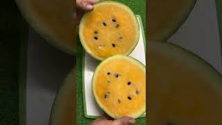 Yellow Watermelon Dinner Challenge Day 7 Sunday #shorts #shortsvideo #melons #summer