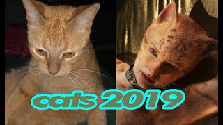 Teens Reacts to new CATS trailer 2019