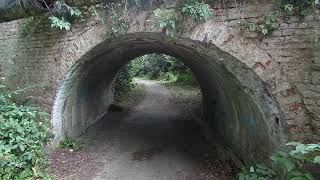 Rock bridge 158  Llanllwchaiarn July 6 2023