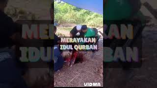 MERAYAKAN IDUL QURBAN #shorts #masjidagungbaiturrahmanbanyuwangi