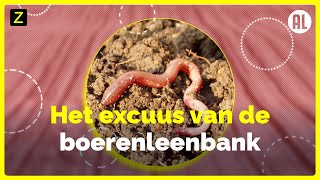 Het excuus van de boerenleenbank (Rabobank)