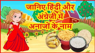 Cereals and Grains name in hindi and english l अनाज के नाम हिंदी और इंग्लिश में l Anajo ke name