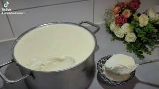 Homemade yogurt from fresh milk