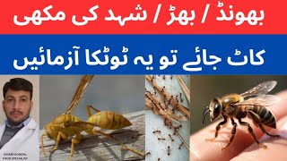 Treatment for wasp and honey bee stings  & insects bite | بھونڈ اور شہد کی مکھی کے کاٹنے کا علاج