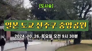 [도시숲] 일본 도쿄 신주쿠 중앙공원 🌲 2024. 10. 26. 토요일 오전 9시 30분 촬영 🌳