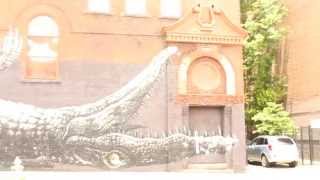 Alligator Building x Southern Stock Footage