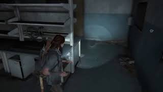 The Last of Us II (43) Los Serafitas, El Hospital