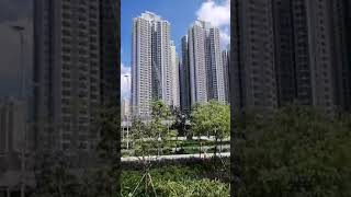 KOWLOON VIEW #shorts  || Mhai HK