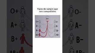 tipos de sangre que son compatibles. #shorts #viral