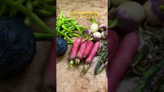 Vegetable from ooty