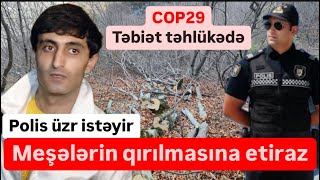 COP29. Meşələrin qırılmasına etiraz. Polis üzr istəyir, sonra hədələyir