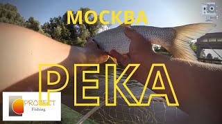 Ассорти из 4 видов рыб. Москва река.  Скоротал время на воде.