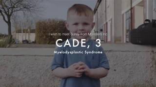 Cade, Josh, and Miley: 3 of the Wishes Granted in 2017 by Make-A-Wish Ireland