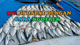 IKAN KUWE SEBANYAK INI 99% DAPAT DENGAN TEHNIK NGOTREK / SABIKI