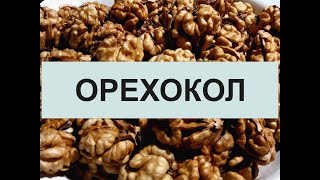 Орехокол - простой и эффективный