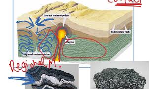 Contact vs. Regional Metamorphism