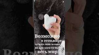 💔ВОЗМОЖНО В ЭТОМ МИРЕ ты всего лишь человек Но для кого-то БЫЛА весь МИР #жизнь #жиза #любовь #шортс