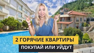 Срочная продажа! Квартиры в Алании  Недвижимость в Турции.