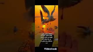 اجمل ما تبداء به يومك☝