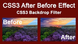 CSS3 After Before Hover Effect | CSS3 Backdrop Filter After Before Hover Effect