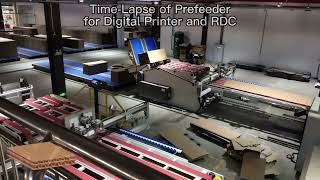 Time Lapse of Prefeeder for Digital Printer and RDC / Corrugated Converting Business