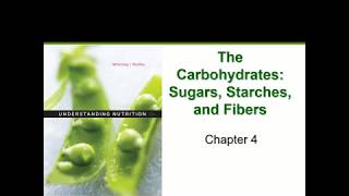 The Carbohydrates (Chapter 4)