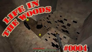 Life in the woods - #0004 - Ran an die Kohle