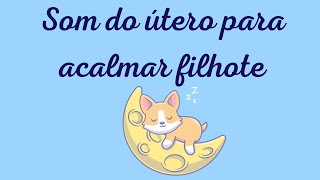 SOM DO ÚTERO PARA ACALMAR FILHOTES  -  Para Acalmar o Cachorro Rapidamente