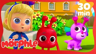 The Pets Have SUPER POWERS? | Morphle 🎈 | Action Cartoons For Kids